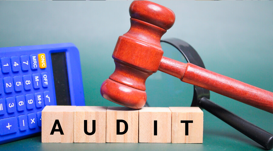 Arrangement of External / Statutory Audits
